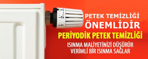 Kahramanmaraş Petek Temizleme