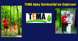 TEMA Ağaç Kardeşliği’ne Çağırıyor