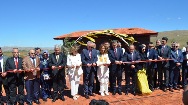 Türkiye’nin ilk arı evi Kahramanmaraş’ta açıldı
