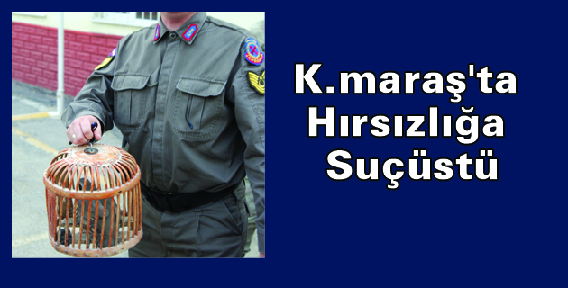 Kahramanmaraş’ta Hırsızlığa Suçüstü