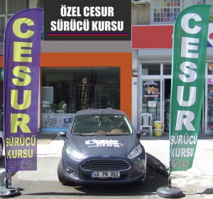 CESUR--1