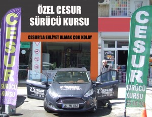 CESUR--2
