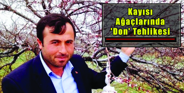 Kar Yağışı meyve ağaçlarına zarar verdi