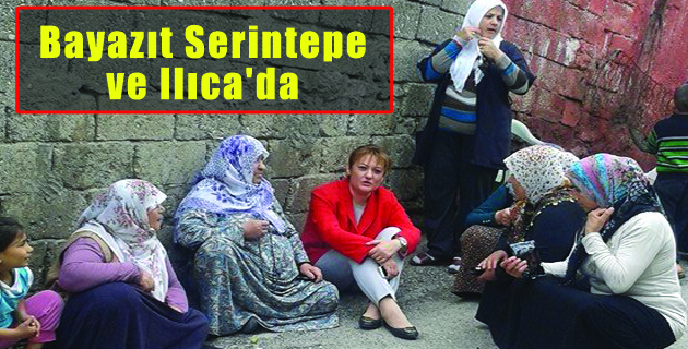 Bayazıt Serintepe ve Ilıca’da