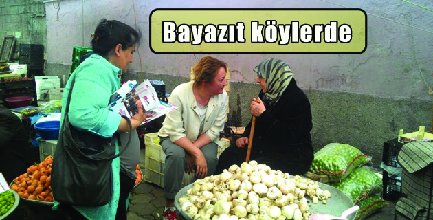 Bayazıt Köylerde