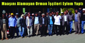 Orman İşçileri Eylem Yaptı