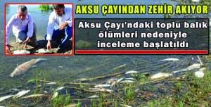 AKSU ÇAYI’NDAN ZEHİR AKIYOR
