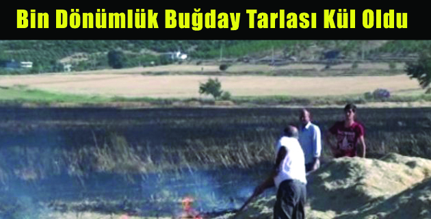 Bin Dönümlük Buğday Tarlası Kül Oldu