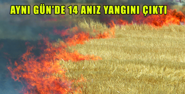 AYNI GÜN’DE 14 ANIZ YANGINI ÇIKTI