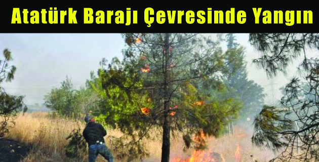 Atatürk Barajı Çevresinde Yangın