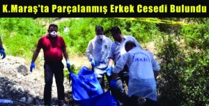 Parçalanmış Erkek Cesedi Bulundu