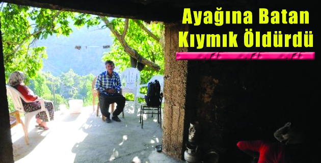 Ayağına Batan Kıymık Öldürdü