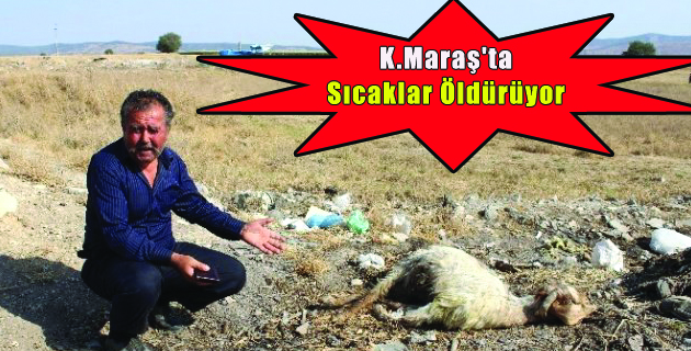 K.Maraş’ta Sıcaklar Öldürüyor