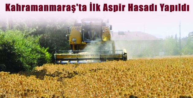 Kahramanmaraş’ta İlk Aspir Hasadı Yapıldı