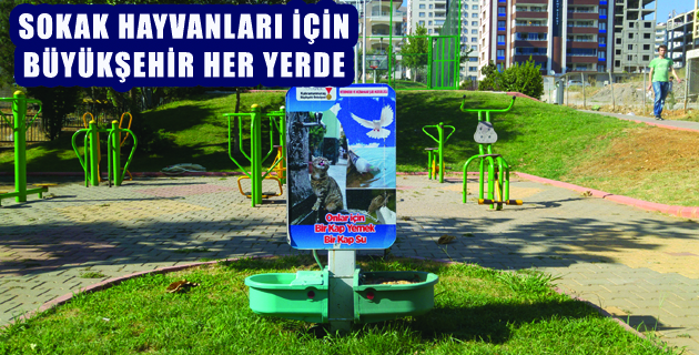 SOKAK HAYVANLARI İÇİN BÜYÜKŞEHİR HER YERDE