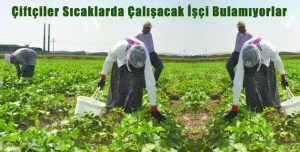 Sıcaklarda Çalışacak İşçi Bulamıyorlar