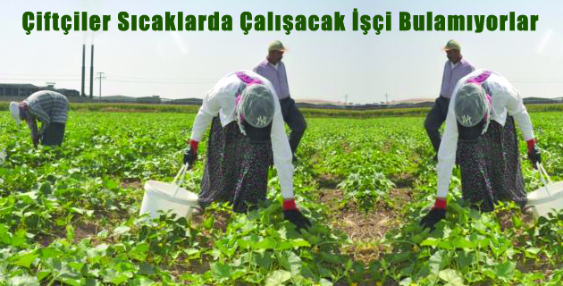 Sıcaklarda Çalışacak İşçi Bulamıyorlar