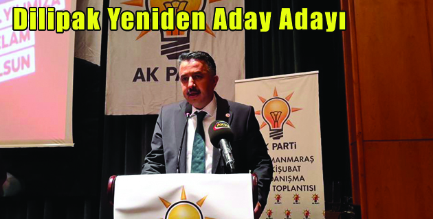 Dilipak Yeniden Aday Adayı