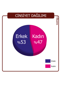 Grafik Calismasi 2015-01