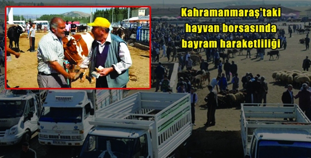 Kahramanmaraş’taki hayvan borsasında bayram haraketliliği