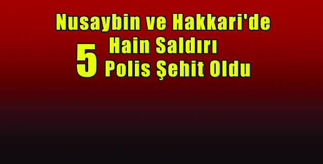 Nusaybin ve Hakkari’de Hain Saldırı
