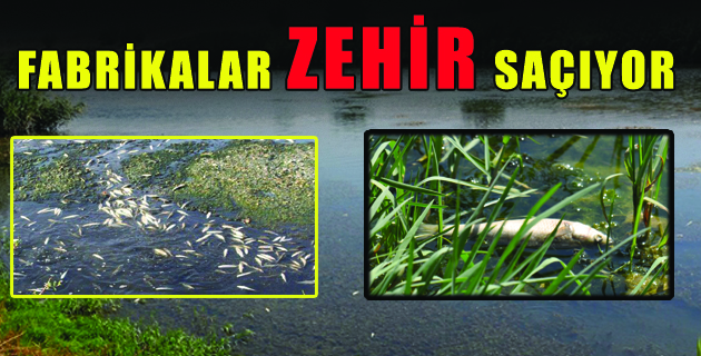 K.MARAŞ’TA FABRİKALAR ZEHİR SAÇIYOR