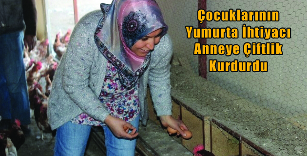 Çocuklarının Yumurta İhtiyacı Anneye Çiftlik Kurdurdu