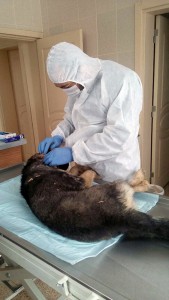 12506657_10207496406862775_1298457884_n