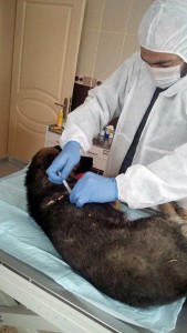 12506793_10207496416623019_776623849_n