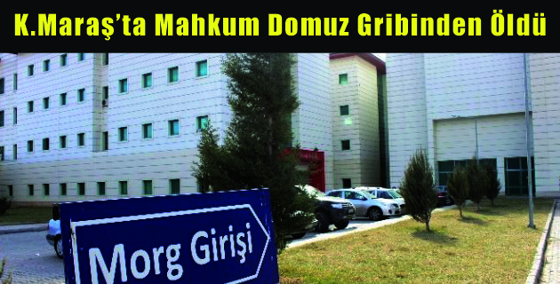 K.Maraş’ta Mahkum Domuz Gribinden Öldü