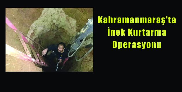 Kahramanmaraş’ta İnek Kurtarma Operasyonu