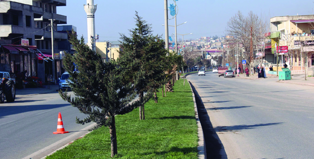 BÜYÜKŞEHİR ANA ARTERLERİ ÇİMLENDİRİYOR