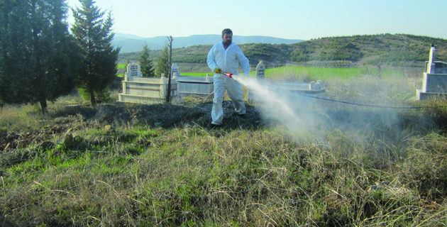 MEZARLIKLARDA İLAÇLAMA ÇALIŞMALARI