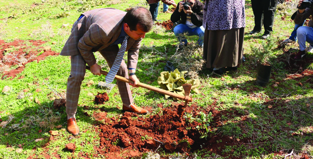 PAZARCIK’TA FİDANLAR TOPRAKLA BULUŞTU