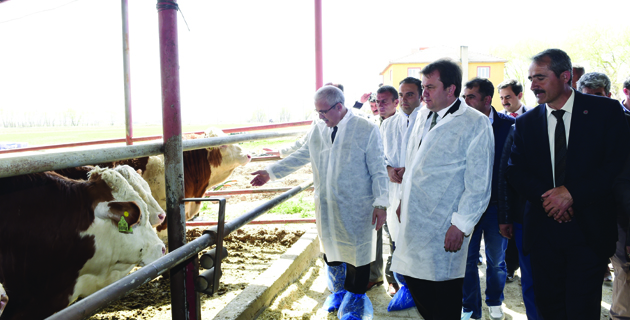 BÜYÜKŞEHİR’DEN AŞILAMA KAMPANYASI