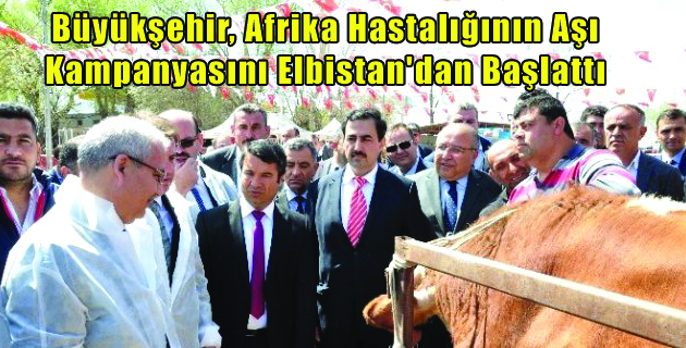 Büyükşehir, Afrika Hastalığının Aşı Kampanyasını Elbistan’dan Başlattı