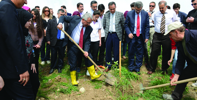 Çanakkale Zaferi’nin Anısına Zeytin Fidanı Dikildi