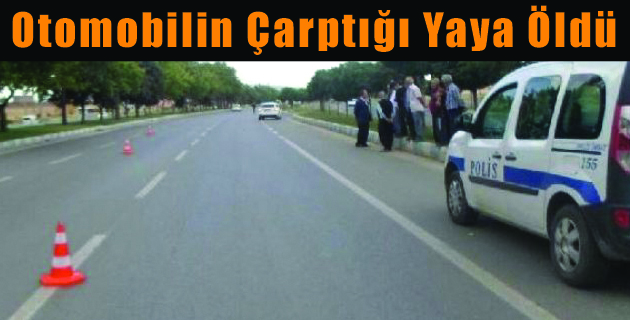 K.Maraş’ta Otomobilin Çarptığı Yaya Öldü