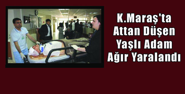 Attan Düşen Yaşlı Adam Ağır Yaralandı