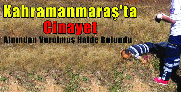 Alnından Vurulmuş Halde Bulundu