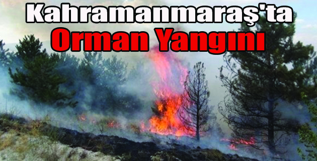 Kahramanmaraş’ta Orman Yangını!