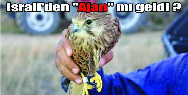 İsrail “AJAN” mı gönderdi !?