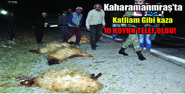 Kahramanmaraş’ta Otomobil Koyun Sürüsüne Çarptı