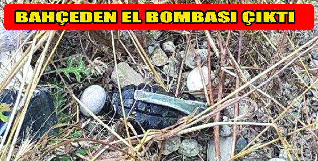 Kiraz Bahçesinde 4 El Bombası Bulundu