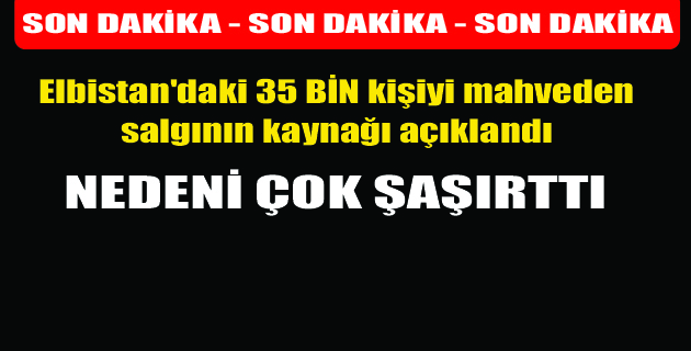 Salgının Nedeni açıklandı