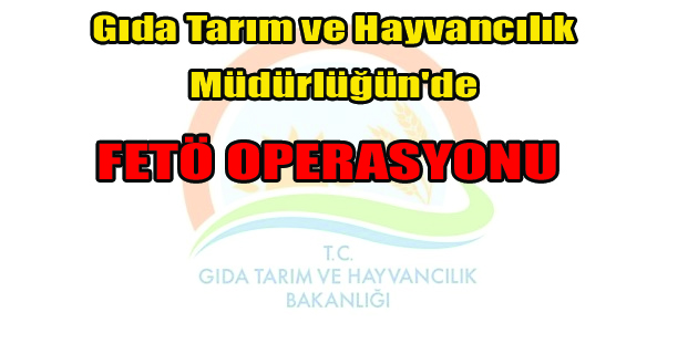 25 kişi gözaltına alındı.
