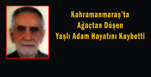 Ağaçtan Düşen Yaşlı Adam Hayatını Kaybetti