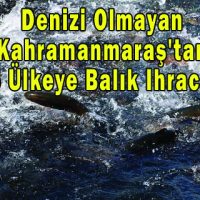Denizi Olmayan Kentten 15 Ülkeye Balık Ihracatı