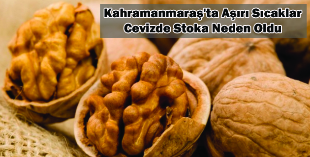 Aşırı Sıcaklar Cevizde Stoka Neden Oldu