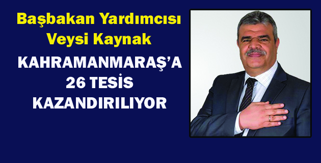 Başbakan Yardımcısı Veysi Kaynak